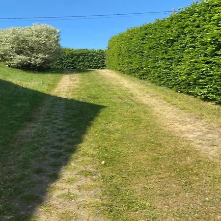 アパート Eifel Garden Hideaway Oberstadtfeld