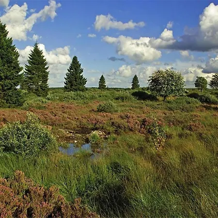 アパート Eifel Garden Hideaway Oberstadtfeld