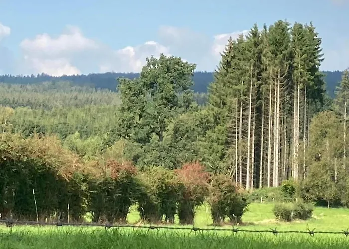 Eifel Garden Hideaway Apartment Oberstadtfeld