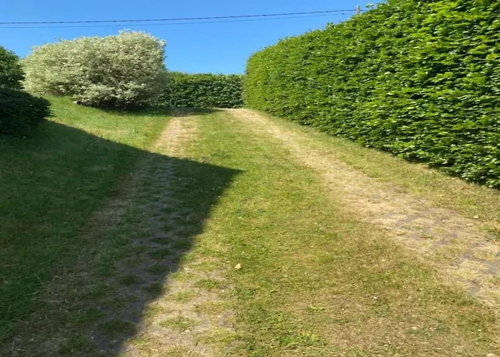 Apartment Eifel Garden Hideaway Oberstadtfeld