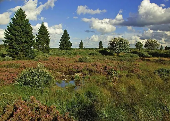 Apartment Eifel Garden Hideaway Oberstadtfeld