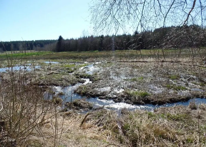 Eifel Garden Hideaway *